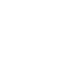 Libus
